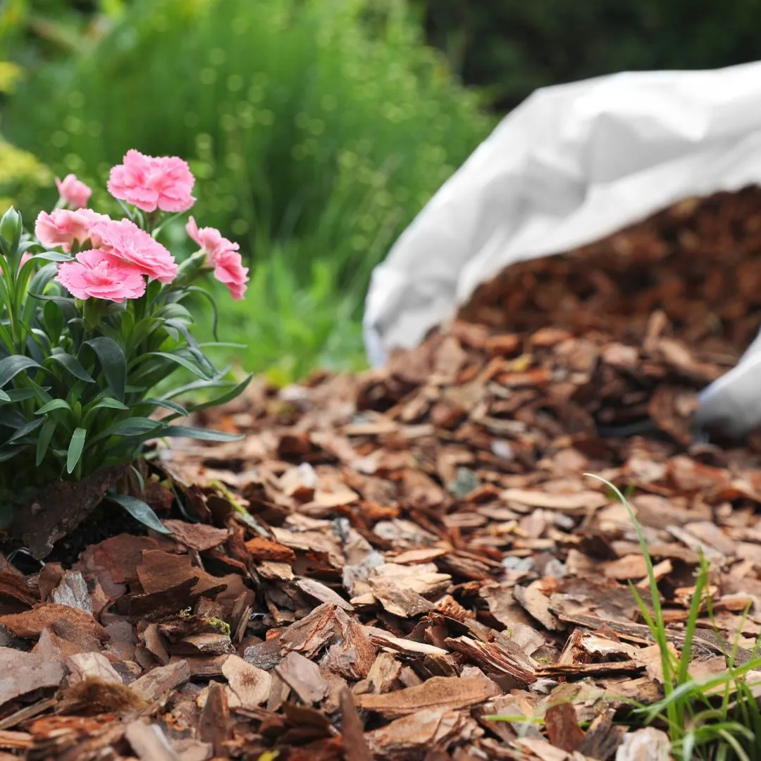 An open bag of mulch spilling out wood chips onto a garden bed, with pink flowers planted nearby. The mulch provides a natural ground cover to protect and nourish the plants.