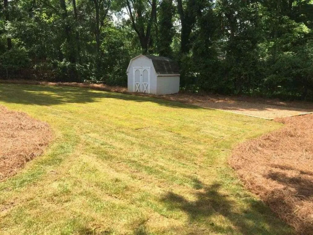 Adorn and Protect the Soil with Our Pine Straw Mulching