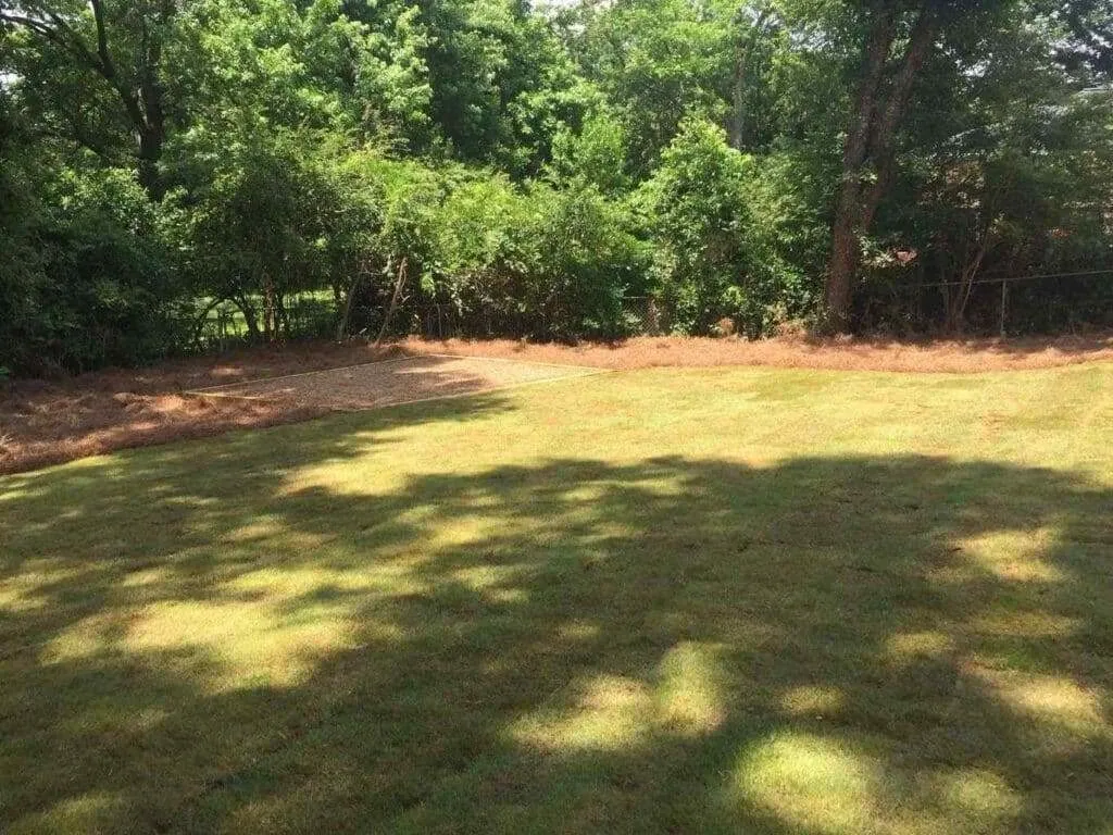 Keep Your Garden Neat by Getting Our Yard Clean Up Services