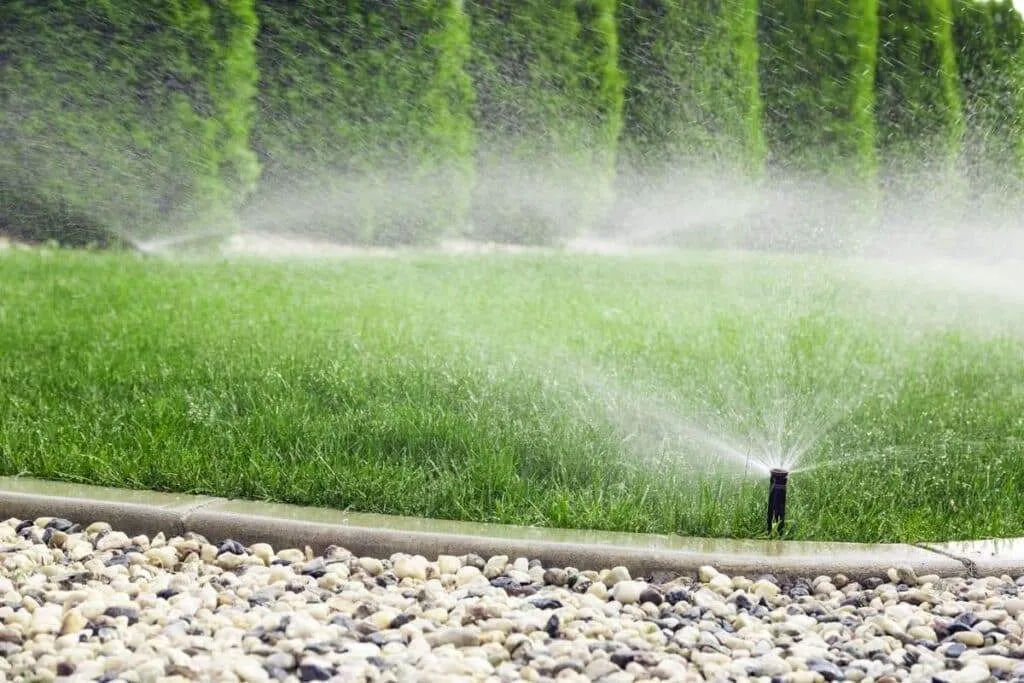 Sprinkler System Installation: Let’s Save Time, Water & Money!