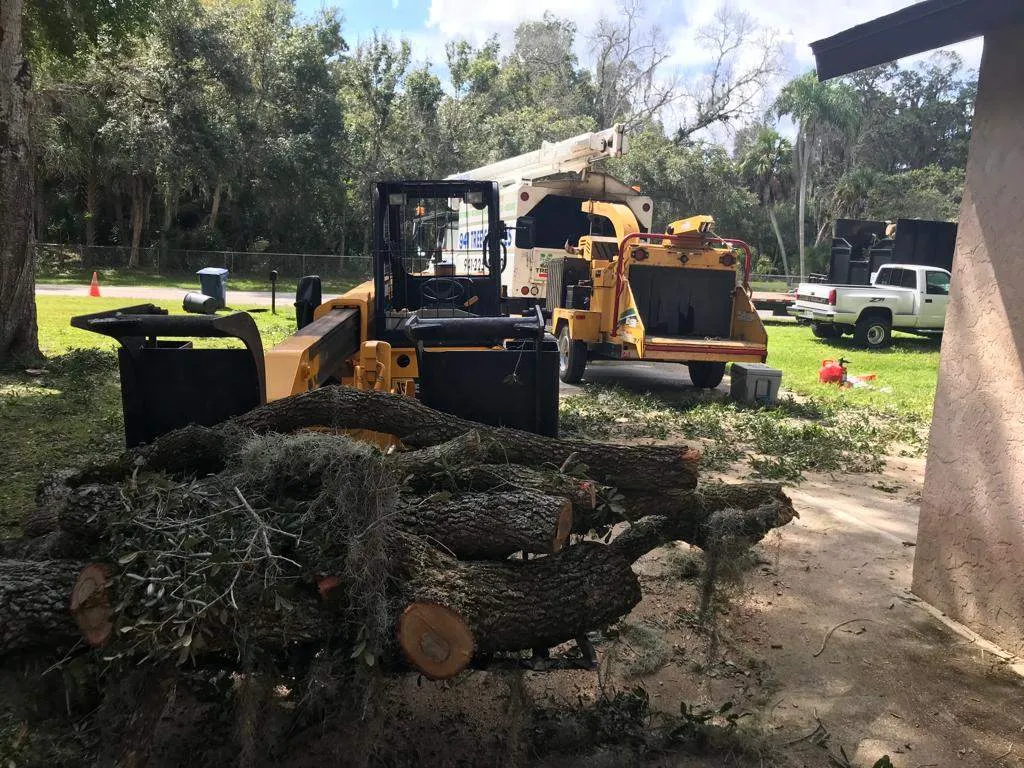 We Offer Fast & Safe Tree Removal near Lakewood Ranch, FL