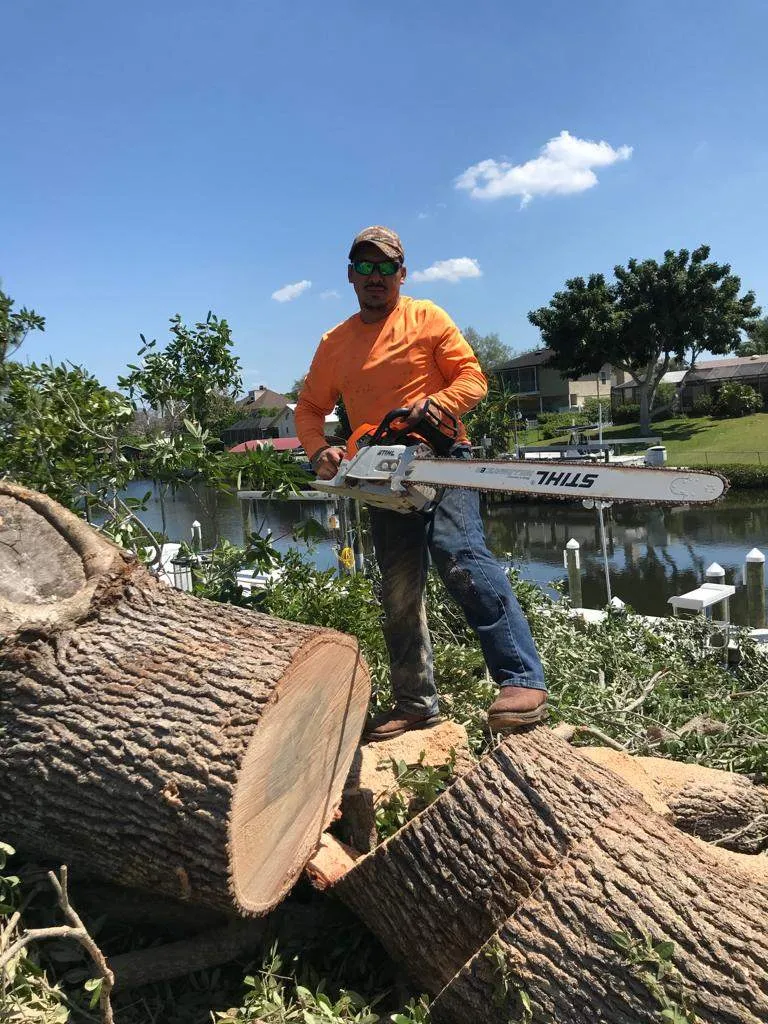 Keep Your Yard Safe with Our Tree Removal near Palmetto, FL