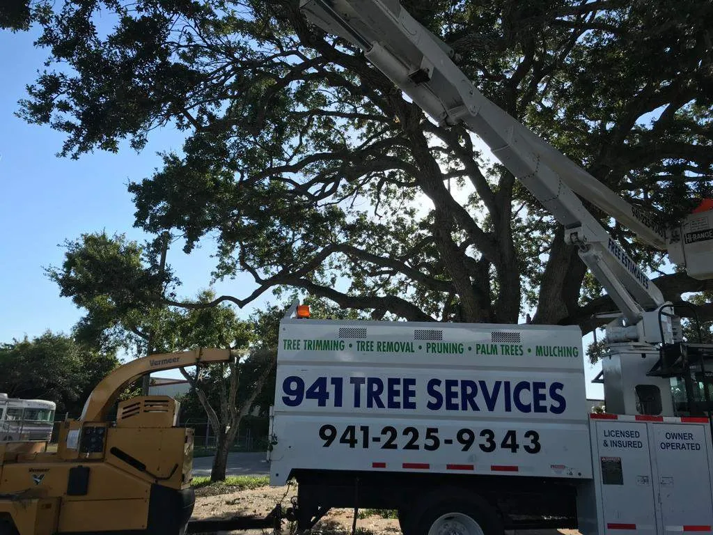Keep Your Plants Healthy & Manicured with Our Tree Trimming near Lakewood Ranch, FL