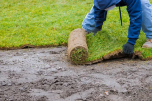 Expert Sod Installation Near Nokomis, FL