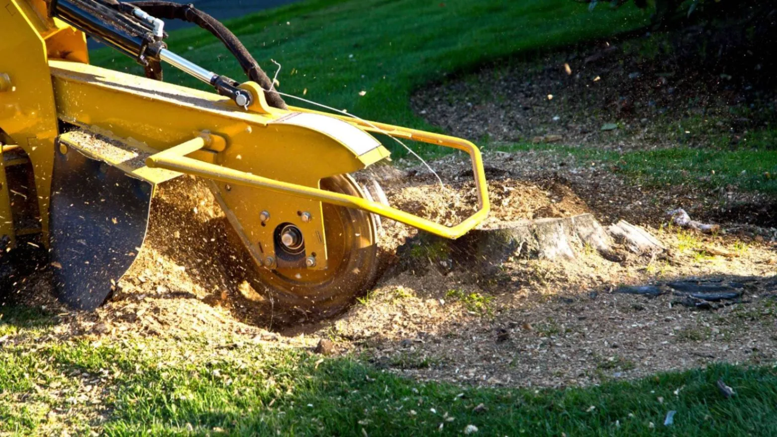 Remove the Eyesore & Tripping Hazard with Our Stump Removal near Lakewood Ranch, FL