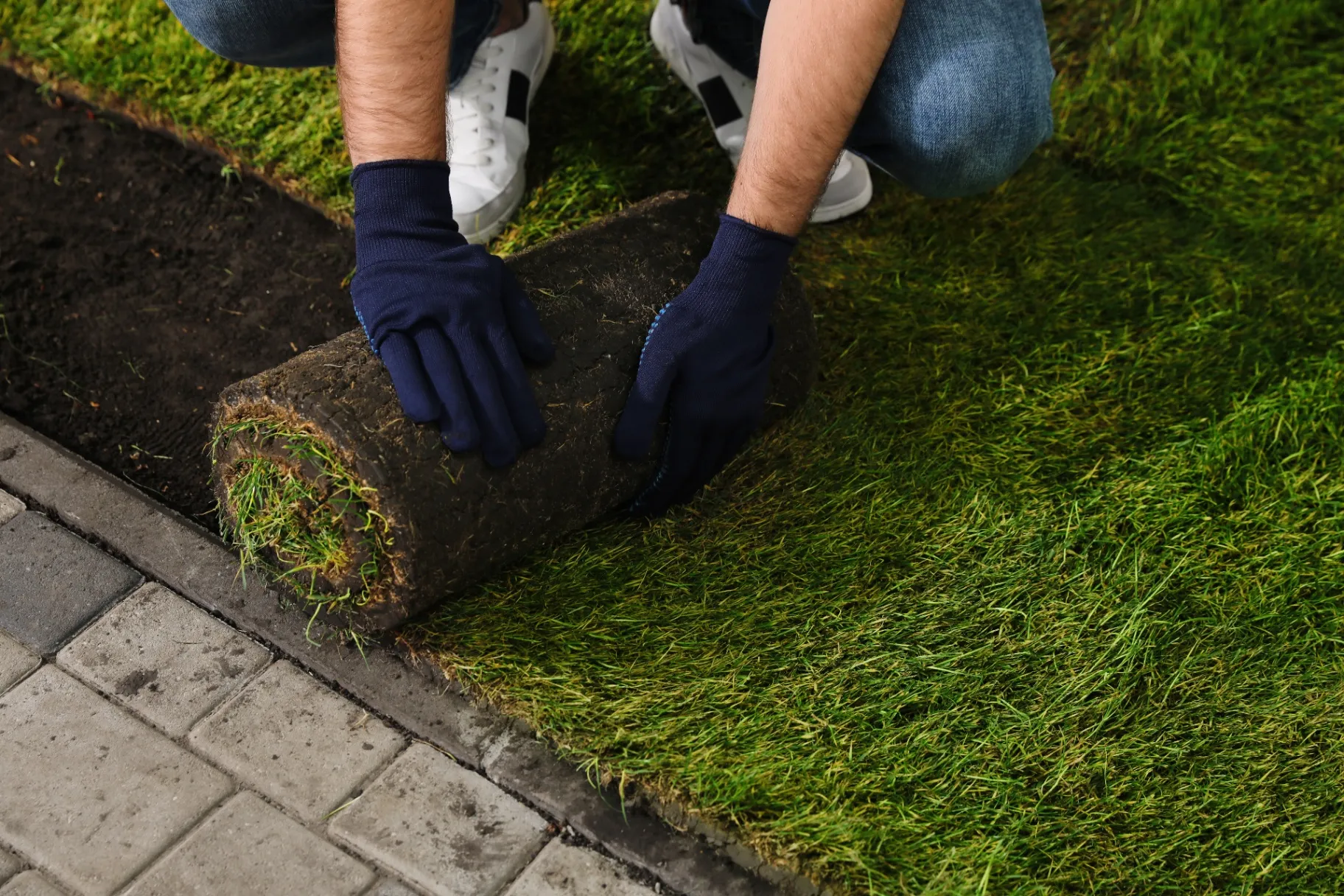 a Reliable Sod Installation Near Longboat Key, FL