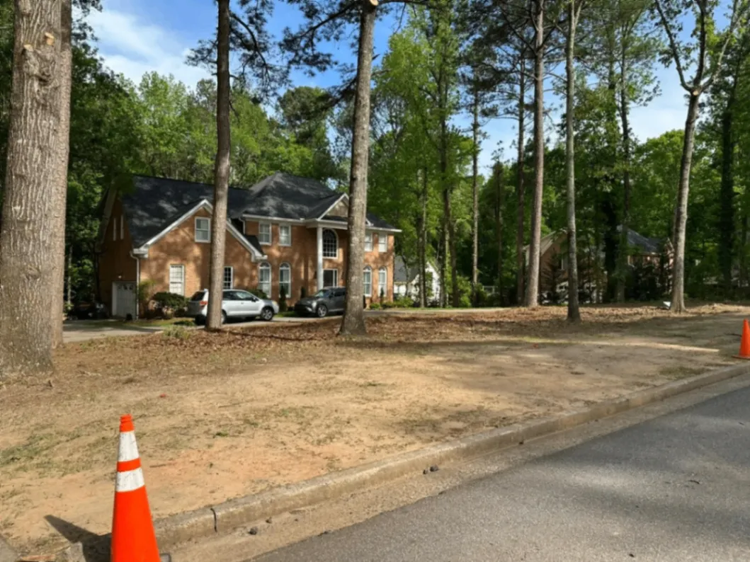 Tree Trimming Services in Powder Springs, GA