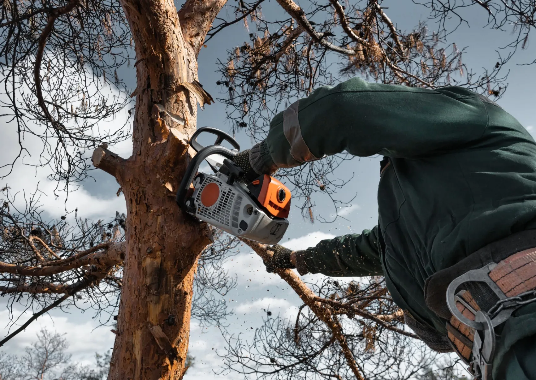 We Offer Safe Tree Removal Services near Hiram, GA