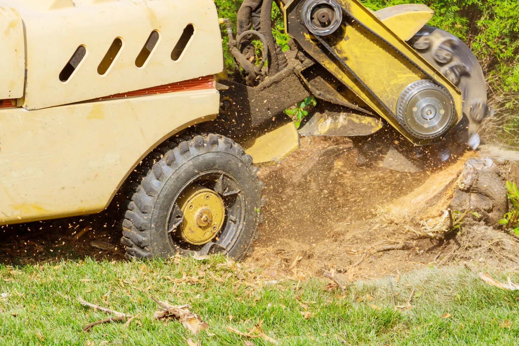 Get Rid of the Useless with Our Stump Removal Service