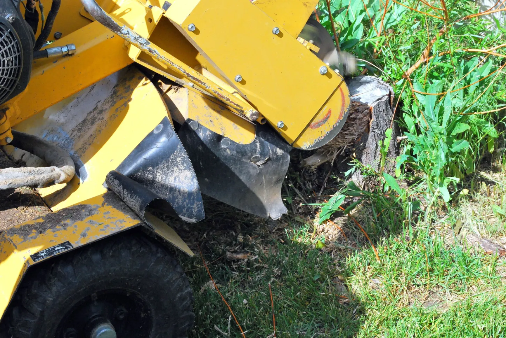 We Offer Quick, Safe & Affordable Stump Removal