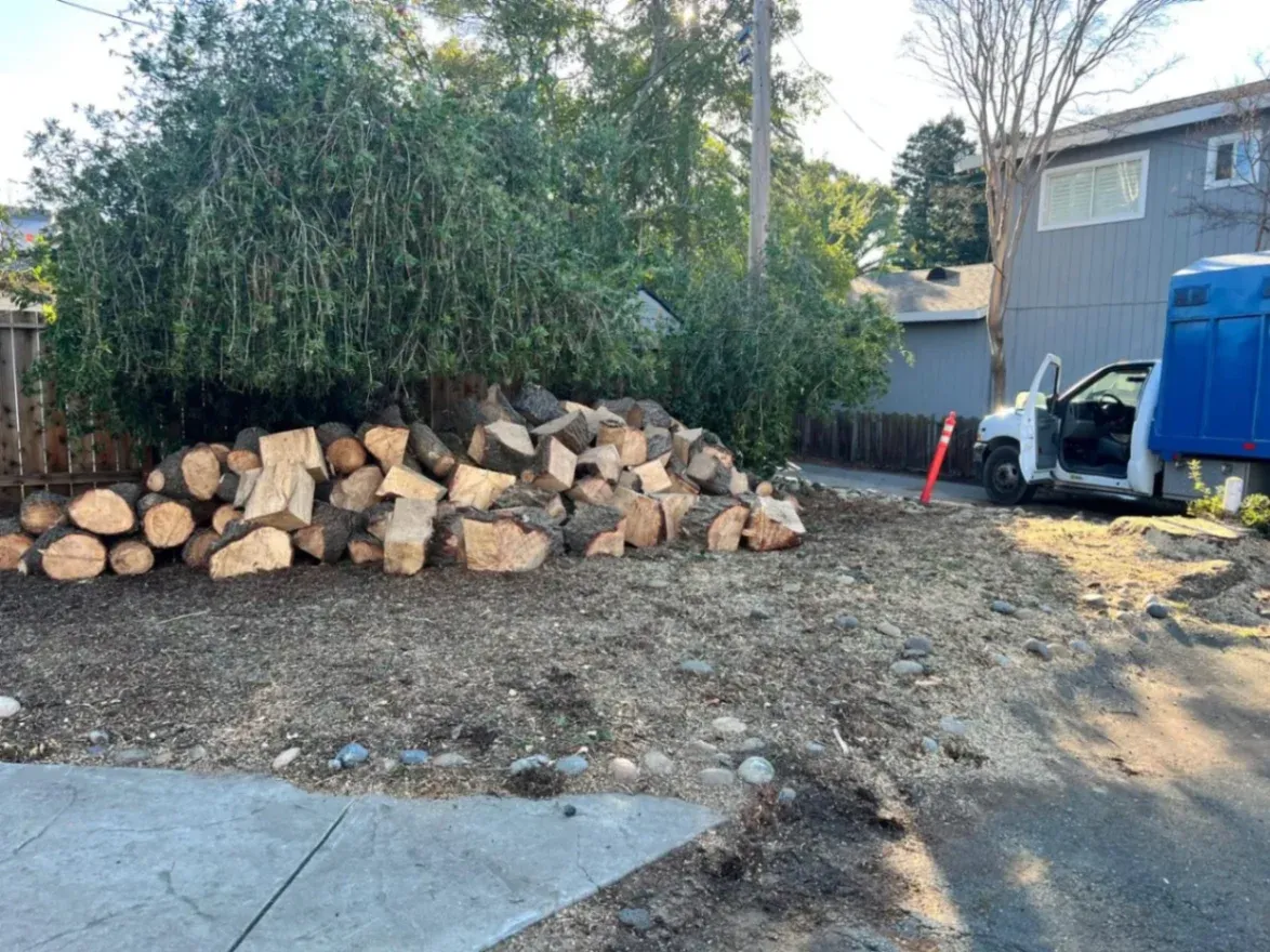 Large pile of cut tree logs and heavy branches stacked in the front yard of a residential property after licensed and insured tree removal in Walnut Creek, CA
