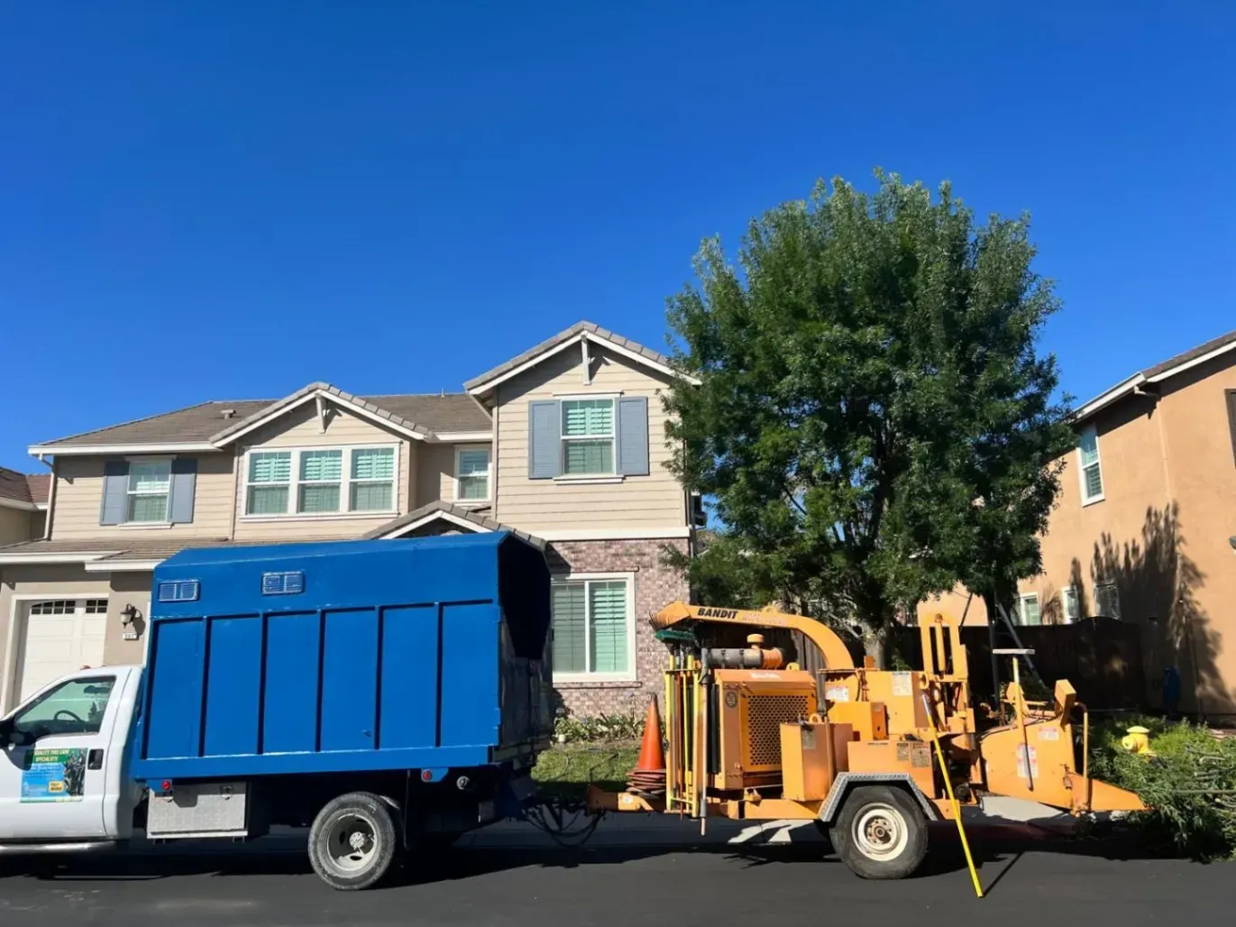 Why CCL Is the Best Tree Service Near San Francisco, CA