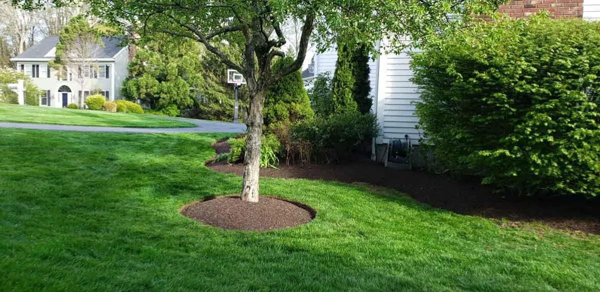 Landscaping Company Ridgefield, CT