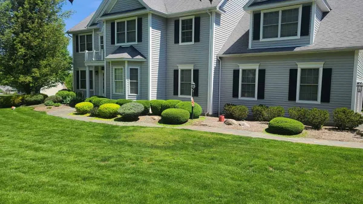 A neatly landscaped front yard with trimmed round shrubs, fresh mulch beds, and a lush green lawn enhancing the home’s curb appeal, designed by our landscapers in New Milford, CT.