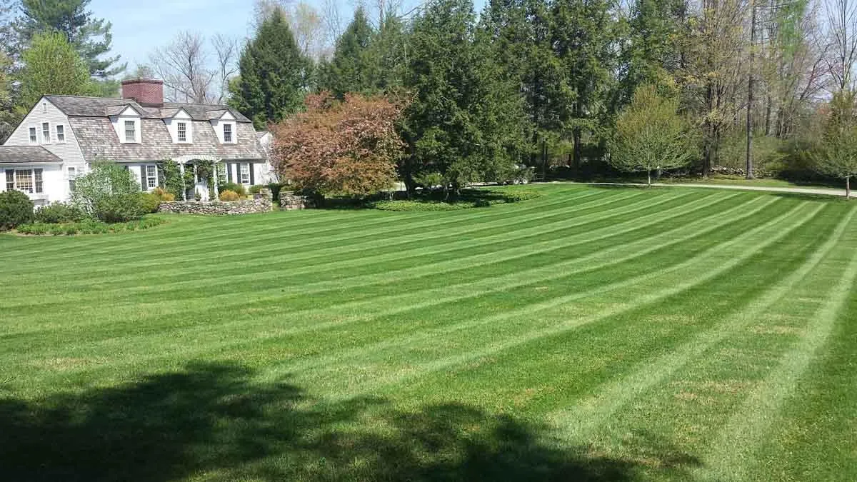 A well-maintained lawn with crisp, diagonal mowing lines in front of a charming home. Lawn Mowing Service in Wilton, CT