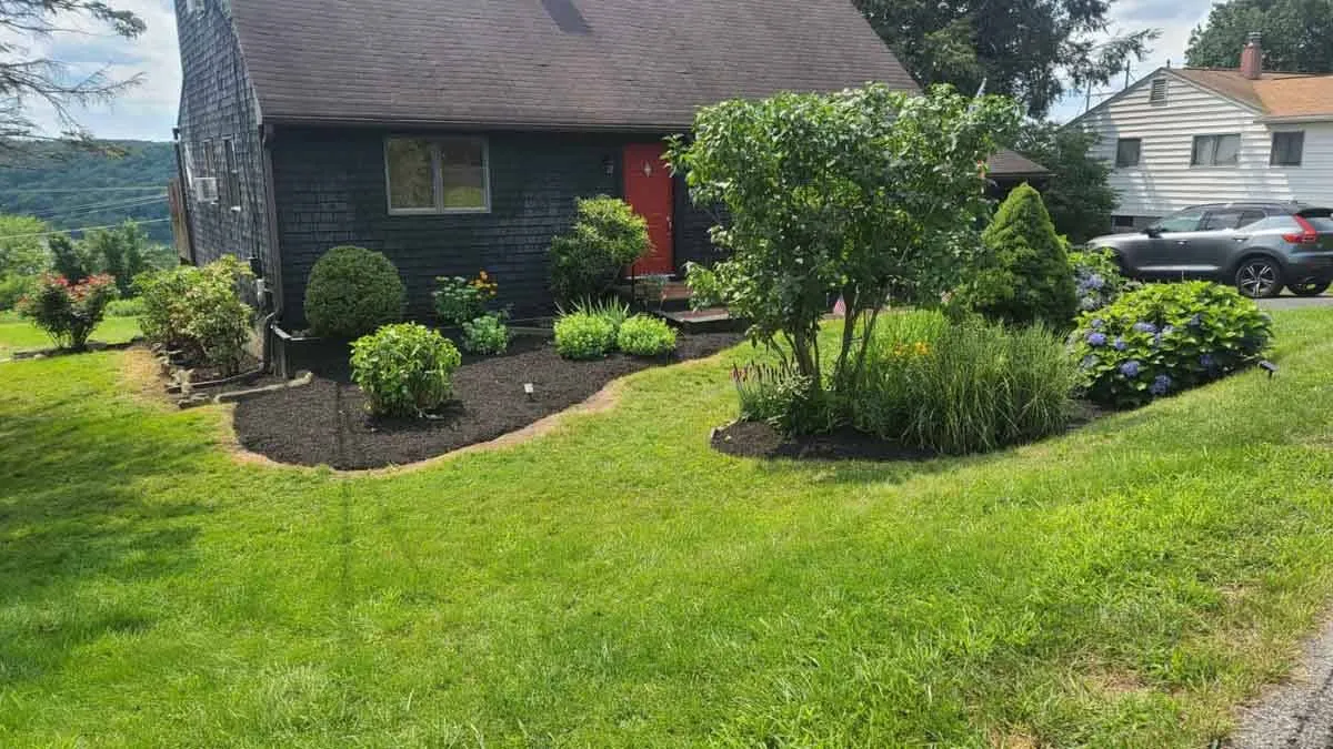 A well-maintained front yard with flower beds, trimmed shrubs, and fresh mulch, creating a welcoming atmosphere in New Canaan, CT.