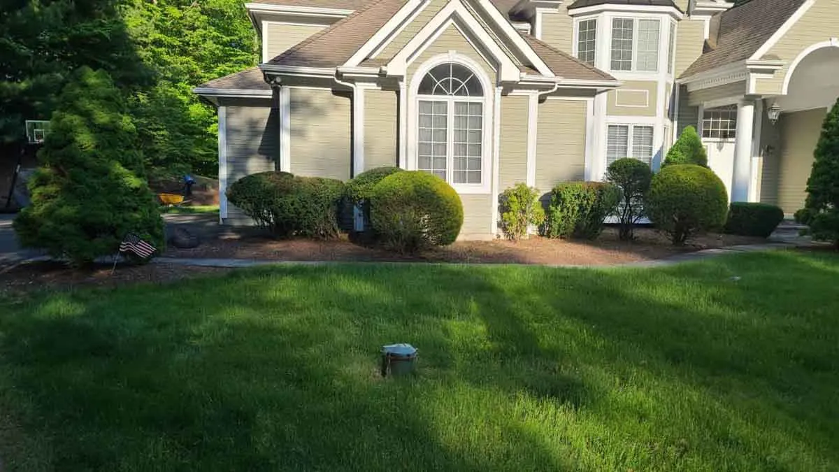 What You Can Expect from VS Landscaping LLC?