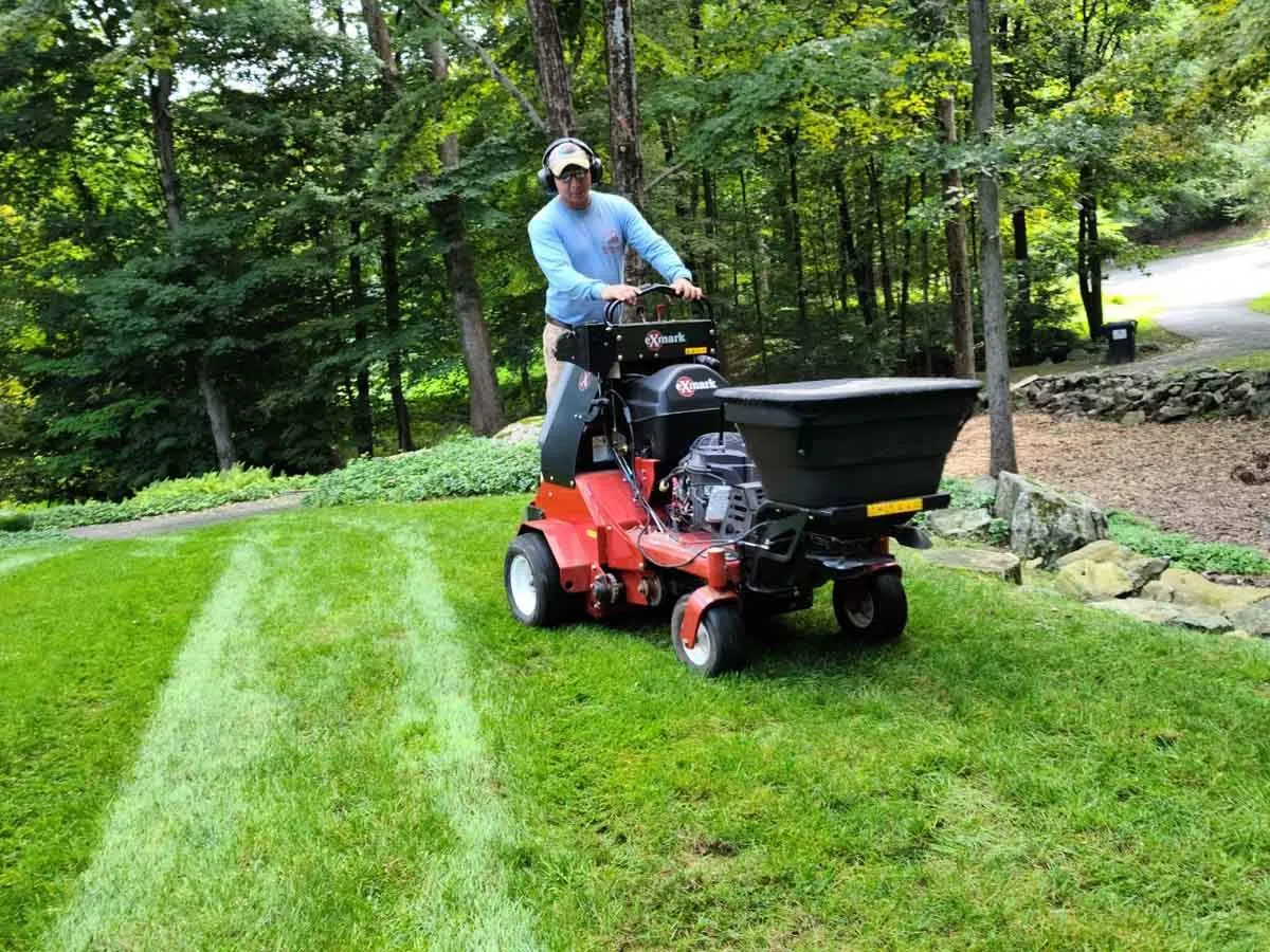 A lawn care professional spreading fertilizer on a freshly cut green lawn with visible mowing lines, part of our landscape services in Fairfield, CT