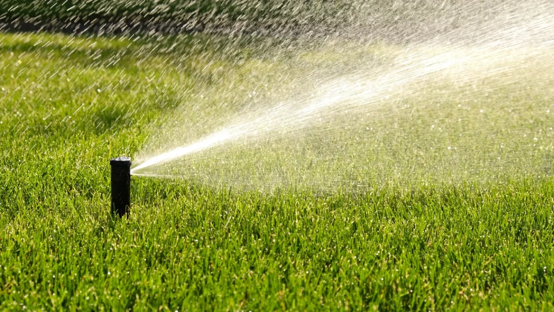 Get Our Sprinkler Repair Service in Westport, CT, to Water Your Plants Effectively