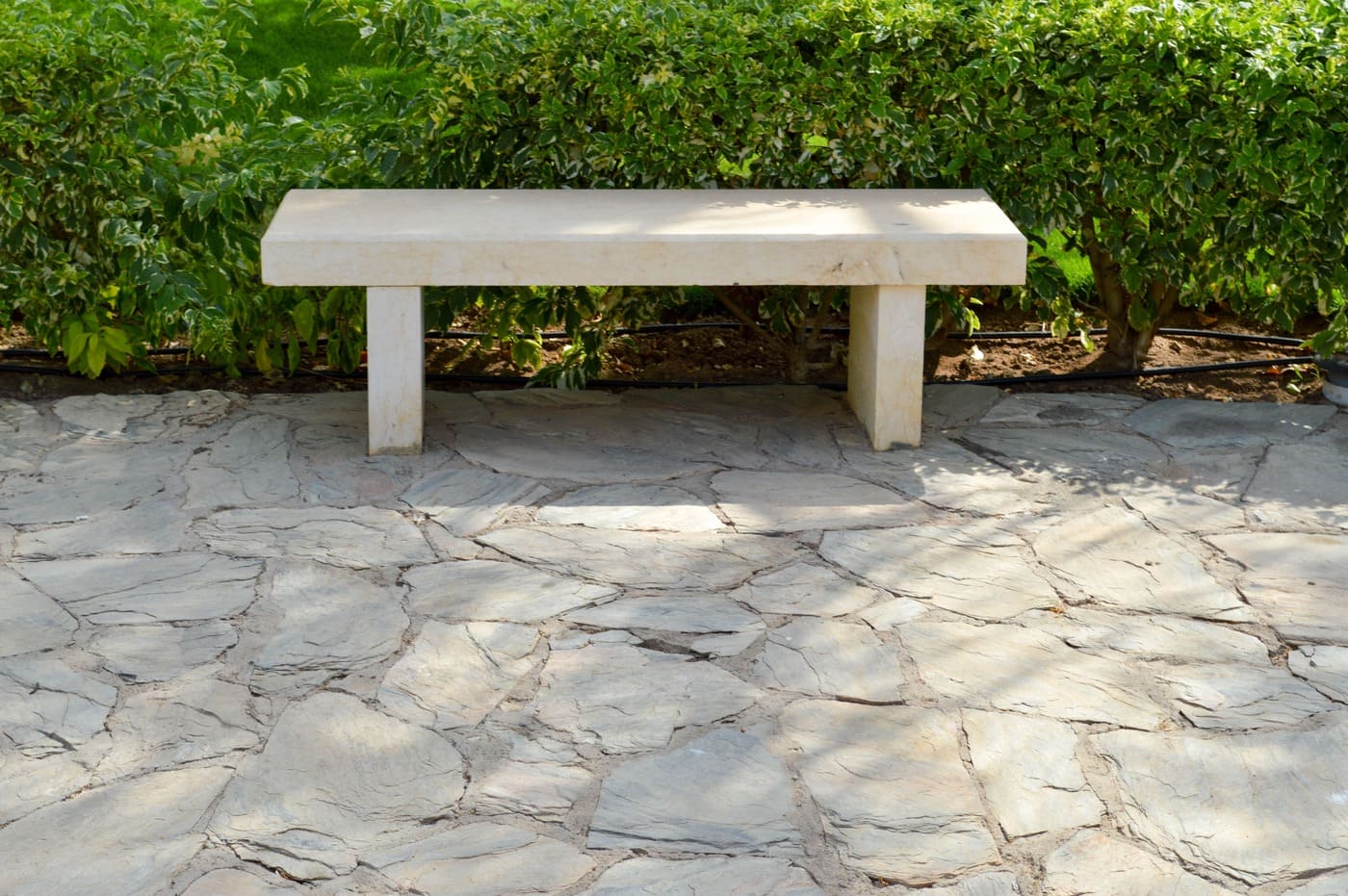 Concrete Bench: An Elegant Touch to Your Outdoors!