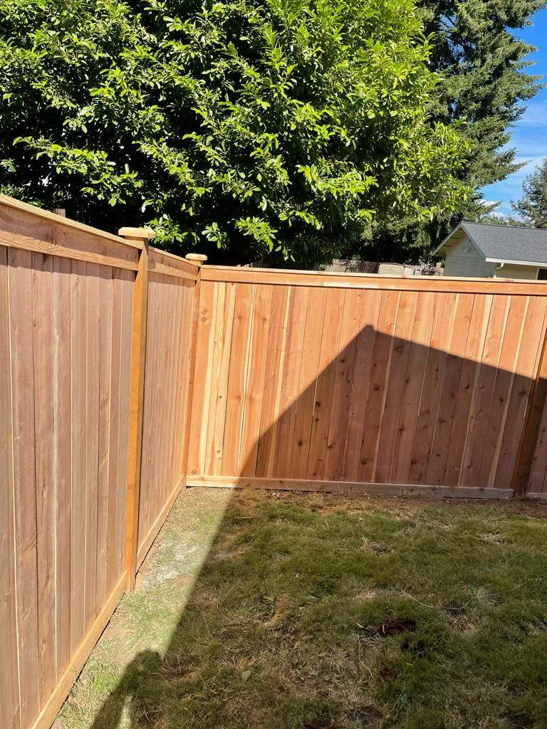 Add Privacy and Style with a Custom Wood Privacy Fence in Bonney Lake, WA