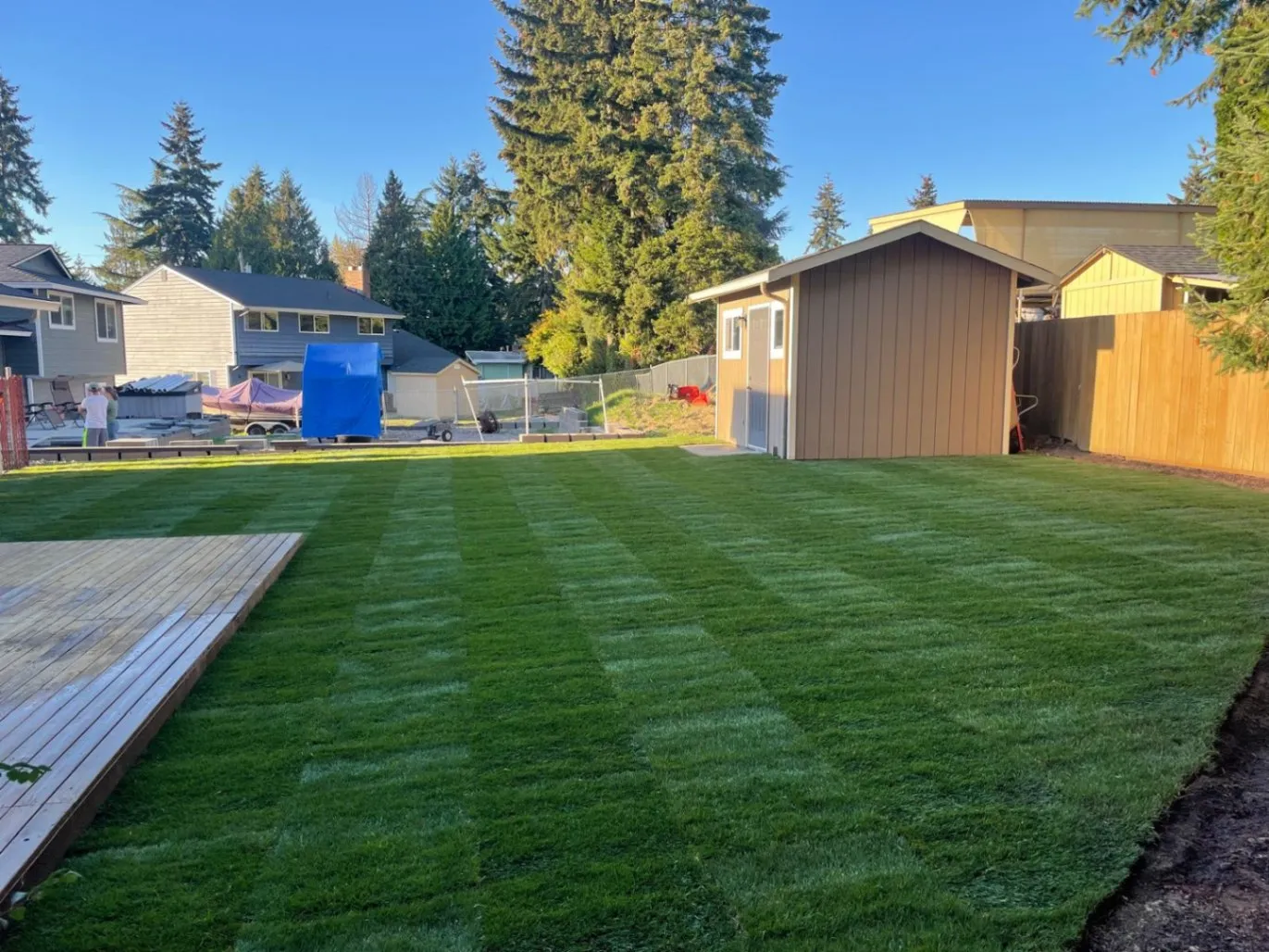 Get a Vibrant Lawn in One Day with Premier Sod Installation Services in Seattle, WA