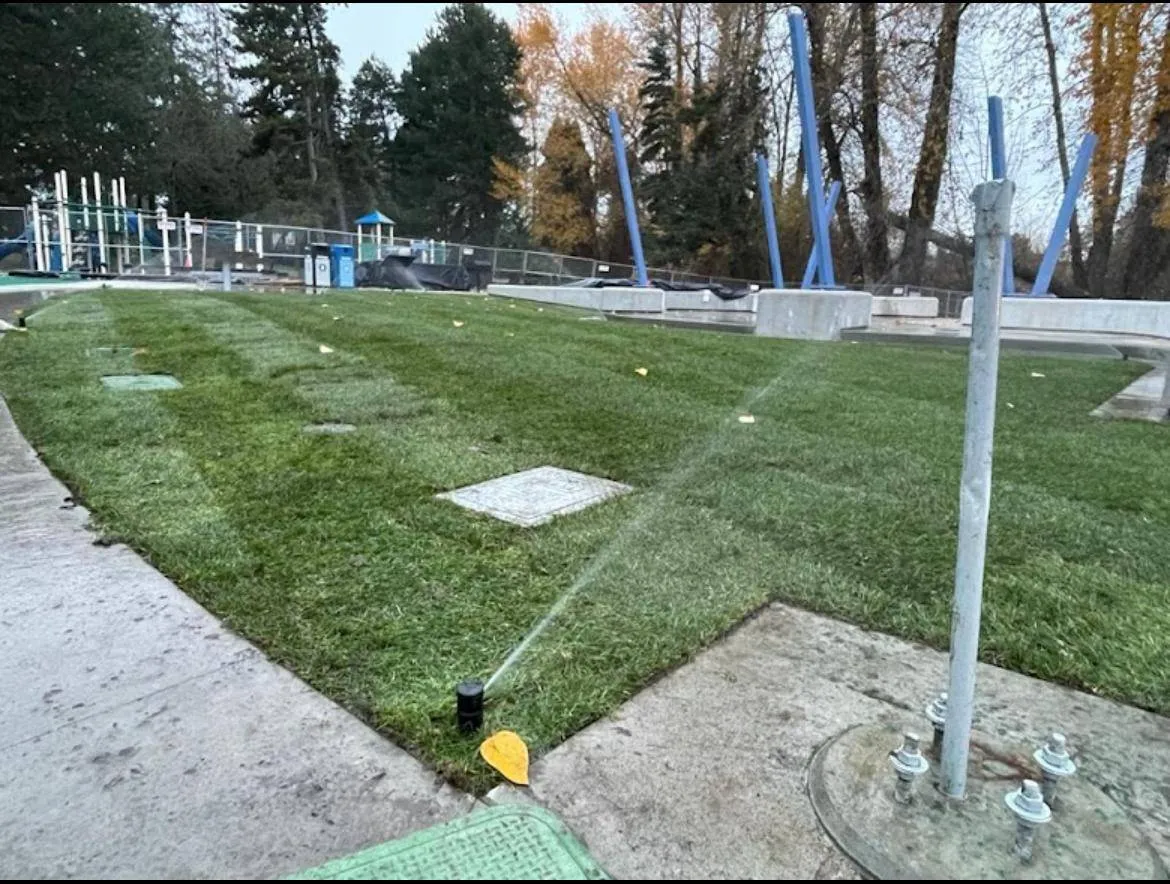 Keep Your Lawn Vibrant with a Custom Sprinkler Installation in Bellevue, WA
