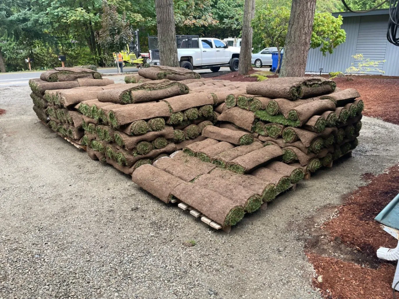 Ready to Transform Your Backyard with the Best Sod Installation Services in Bellevue, WA?