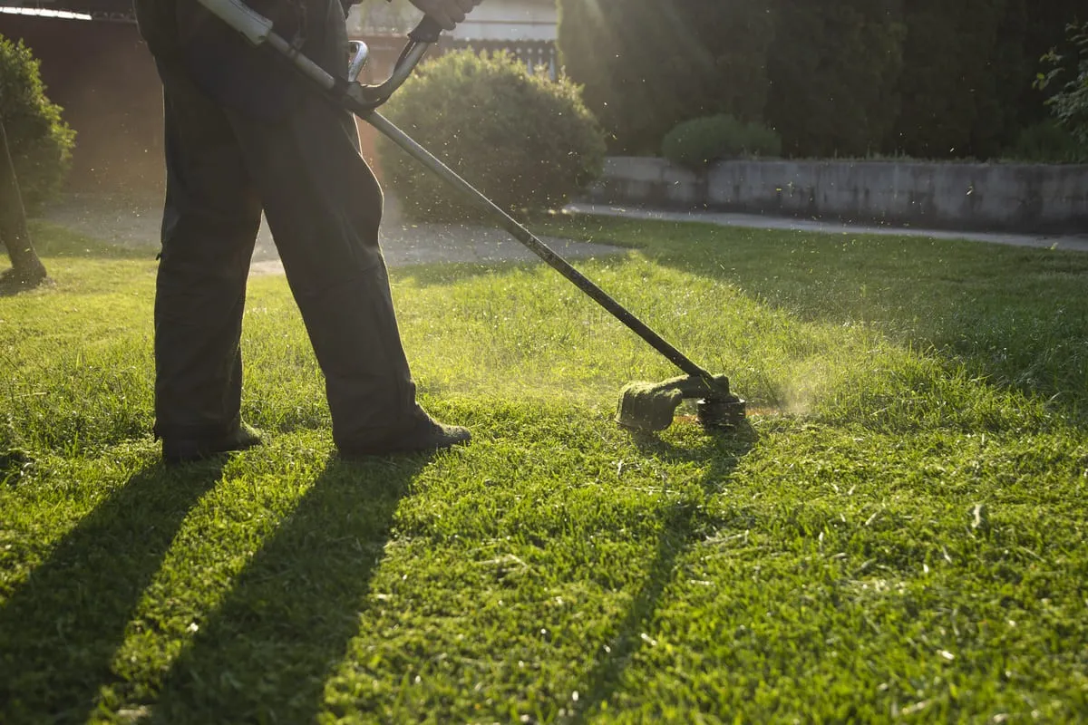 Complete Lawn Maintenance and Yard Care in HanfordComplete Lawn Maintenance and Yard Care in Hanford
