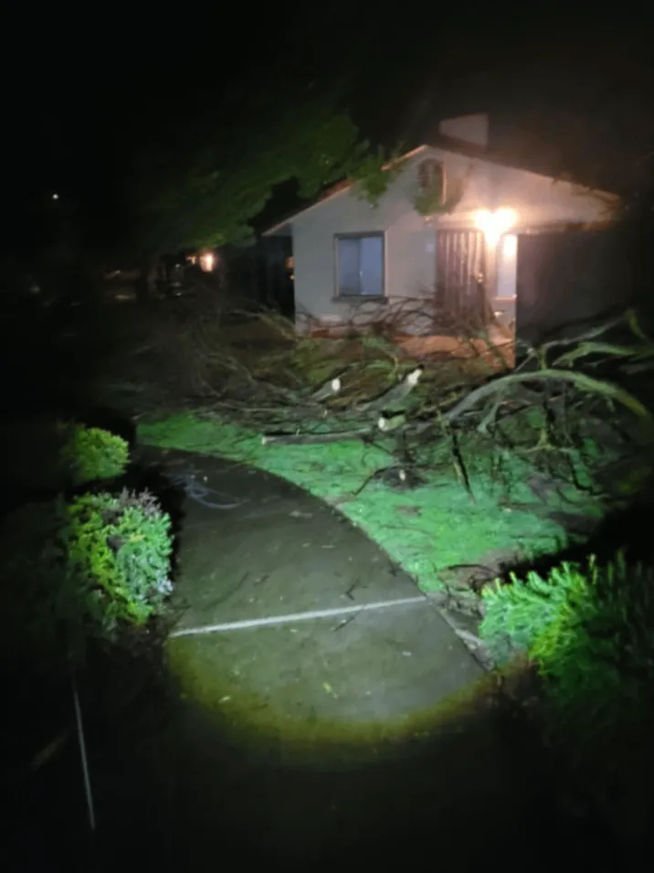 24/7 Rapid Emergency Tree Removal Near Me in Hanford, CA