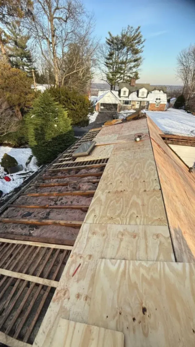 Proactive Roof Leak Repair near me to Avoid Costly Structural Wood Rot