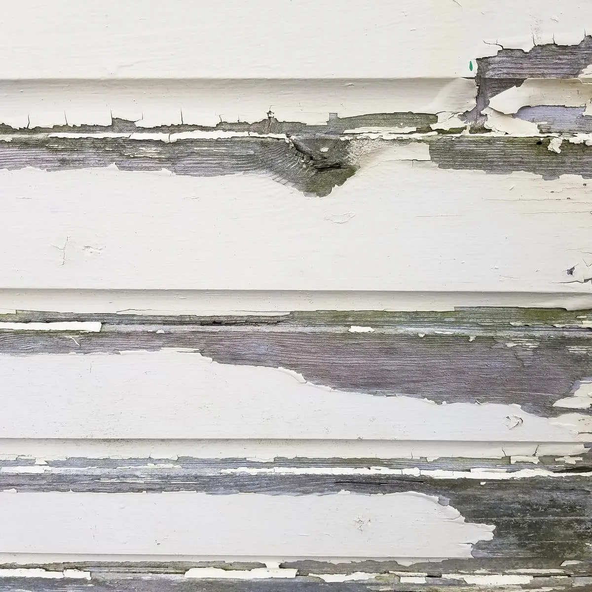 Reliable Siding Repair Services to Protect Your Exterior Walls