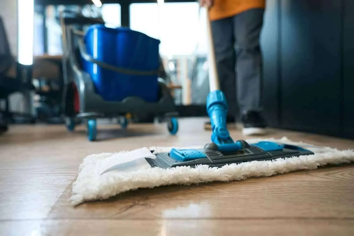 Commercial Cleaning Services in Lacey, WA