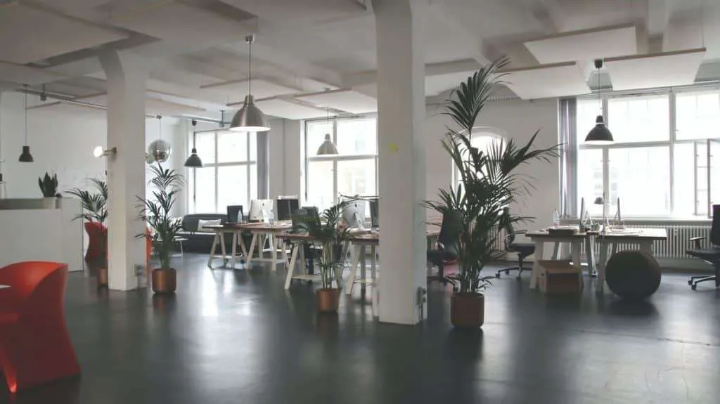 Commercial Cleaning Services in Olympia, WA