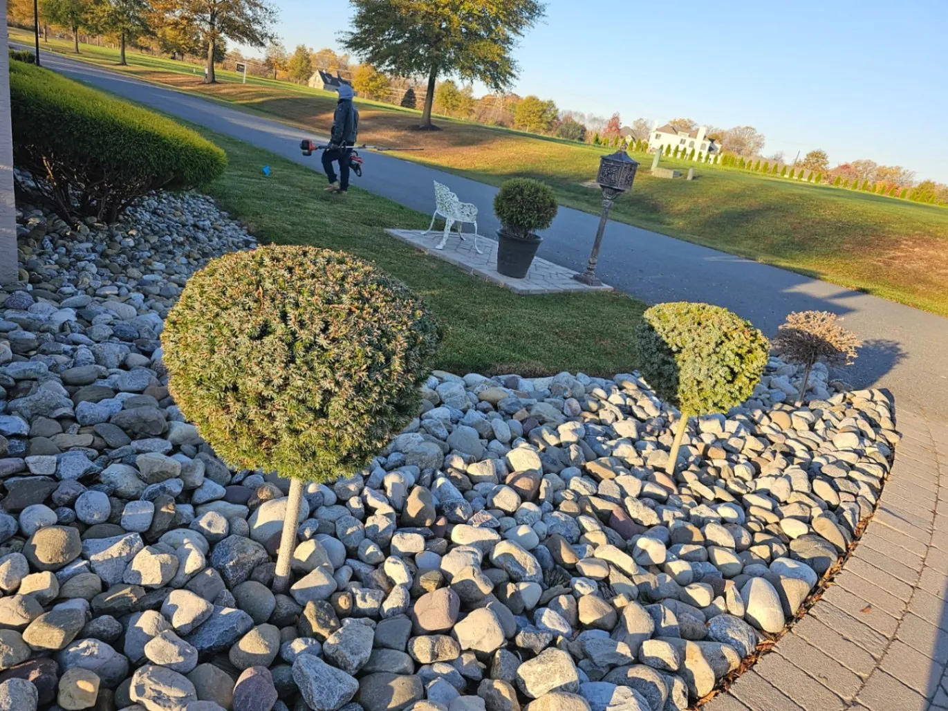 Landscaping Ideas Around Bushes Roots with Rocks