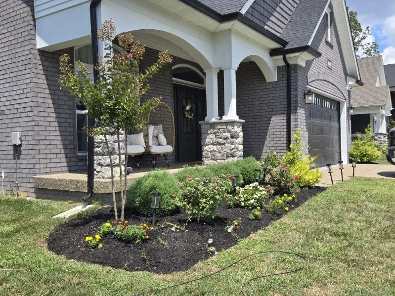 Transform Your Outdoor Oasis-1
