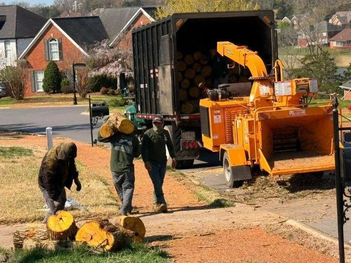 Elevate Your Landscape with Care