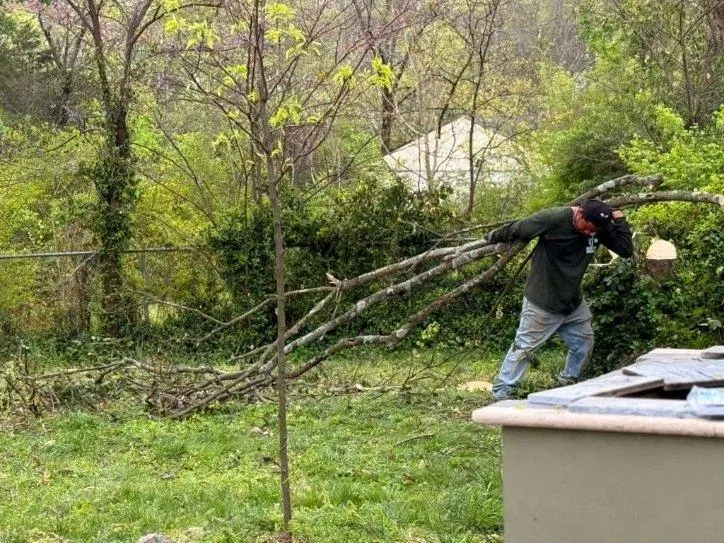 Elevate Your Landscape with Care-1