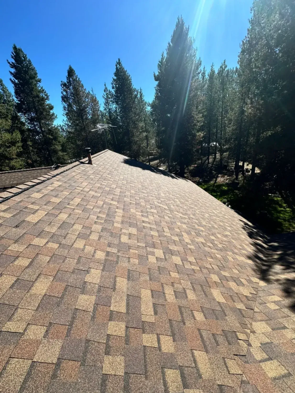 Tear-off and complete structure inspection