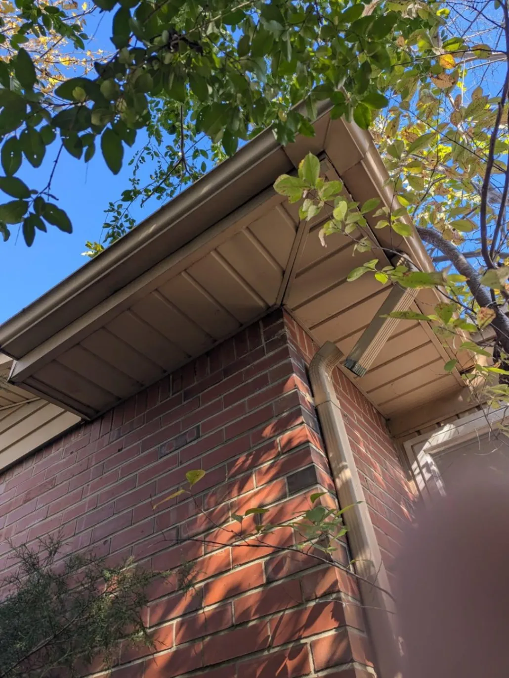 Building trust with expertise earned over fifteen years