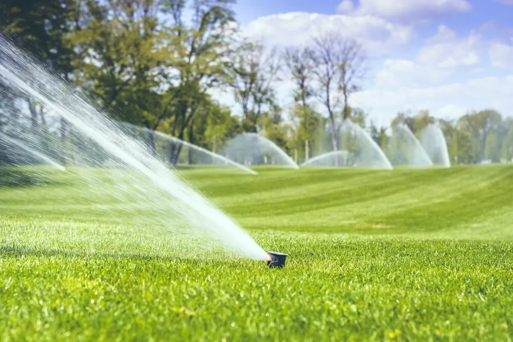 Denver Best Sprinklers LLC