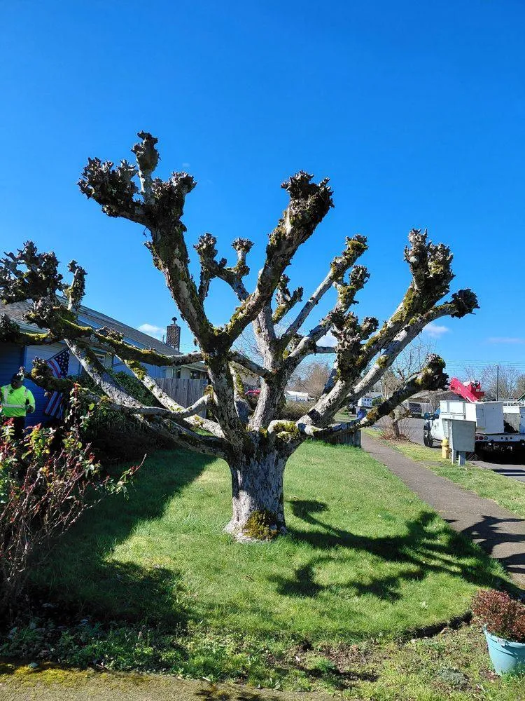 Transform Your Landscape Today