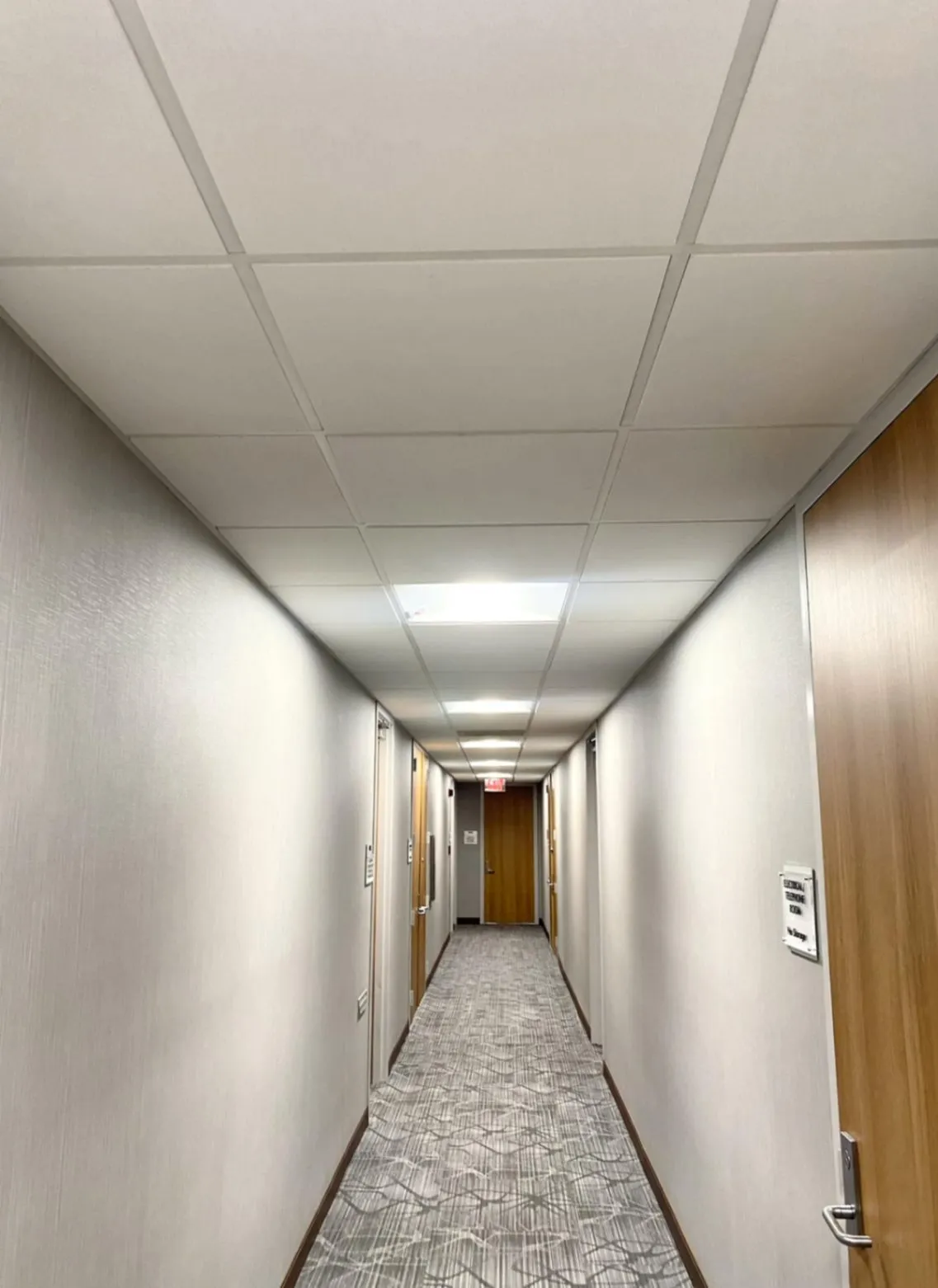 IMG1