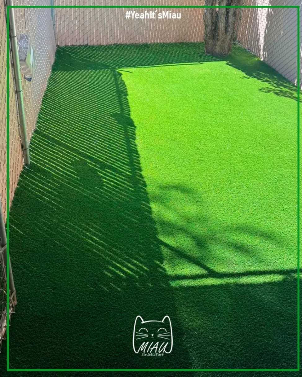 Miau Synthetic Turf