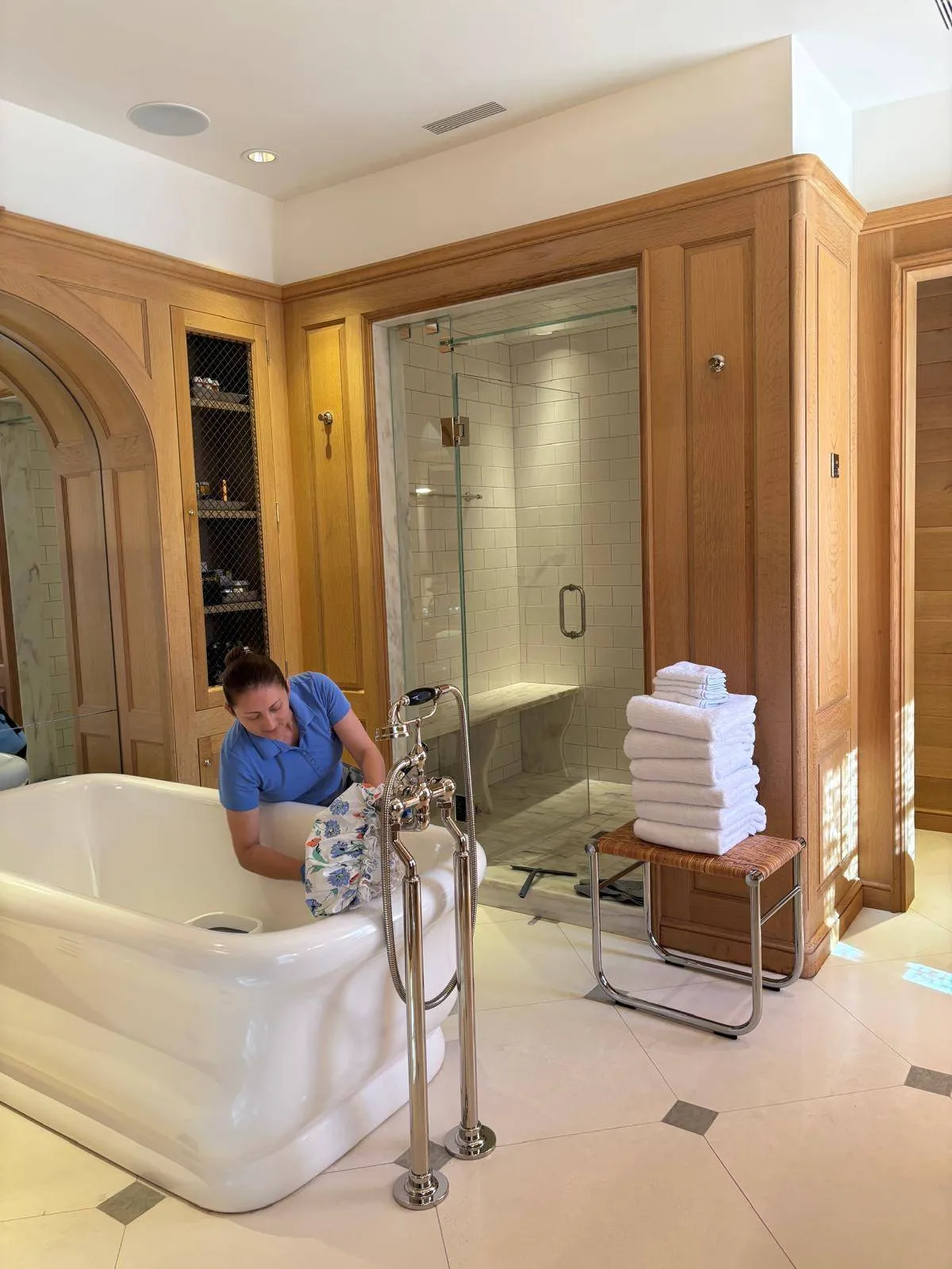 cleaner3
