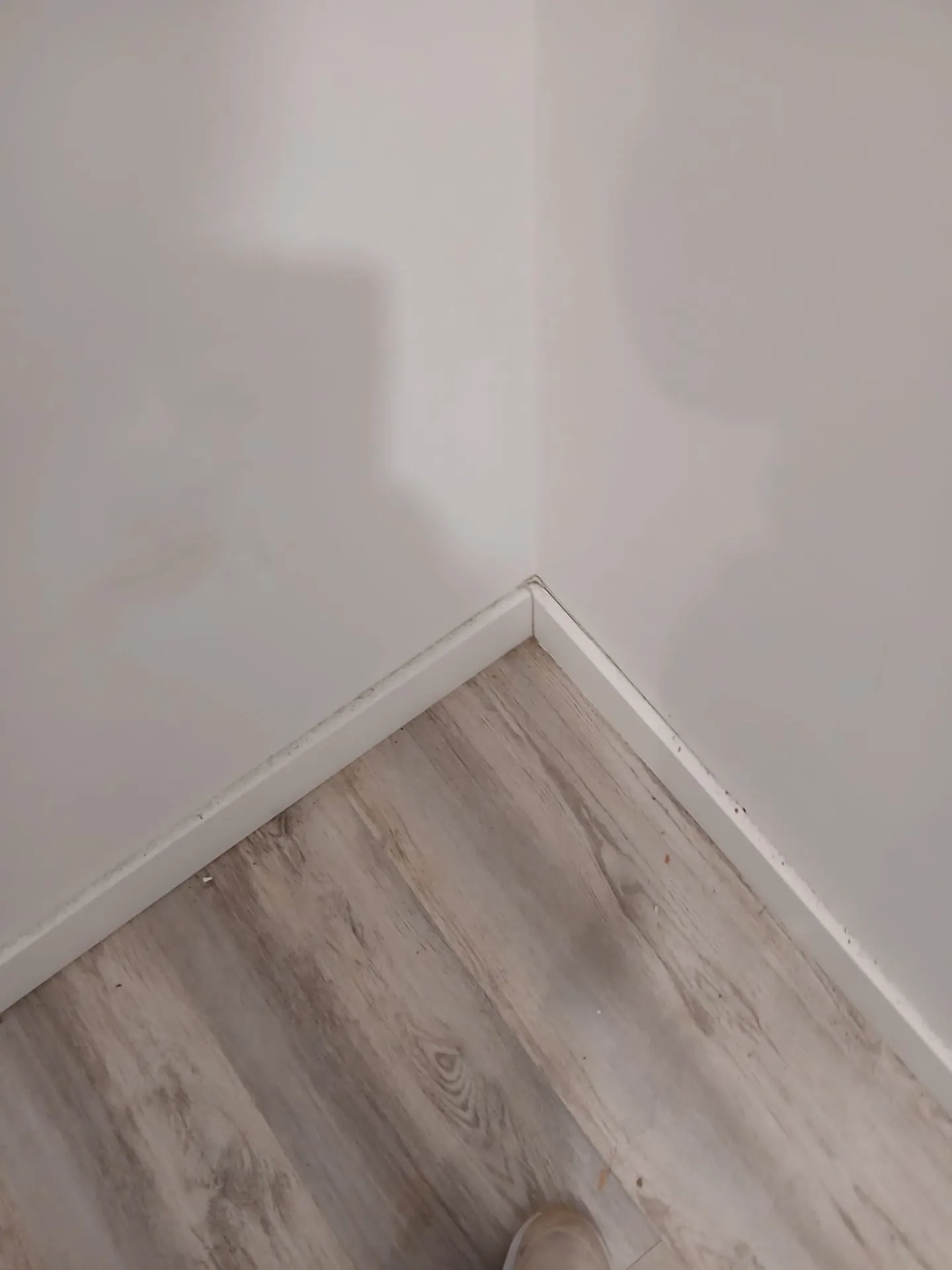 gallery-0