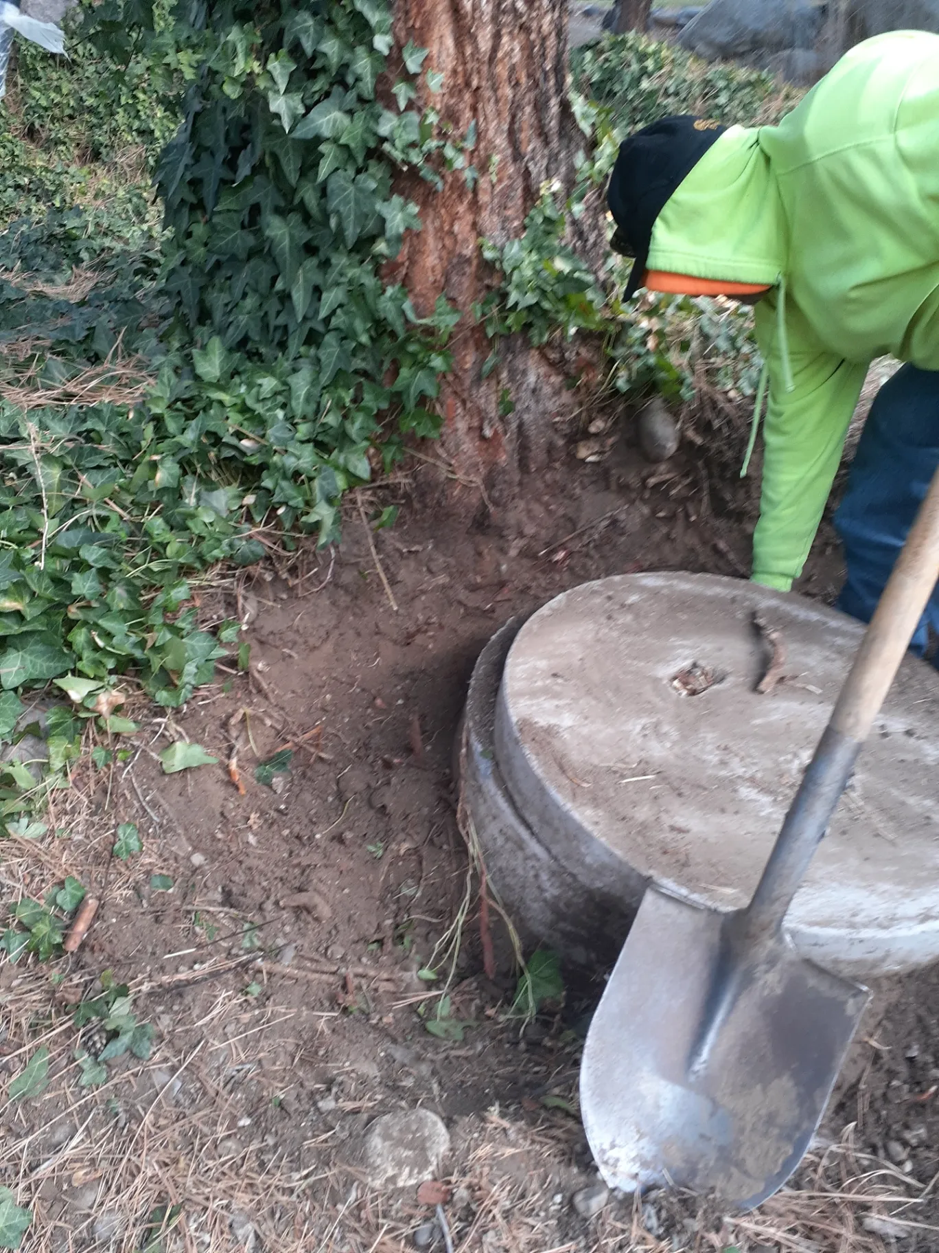 Septic tank search