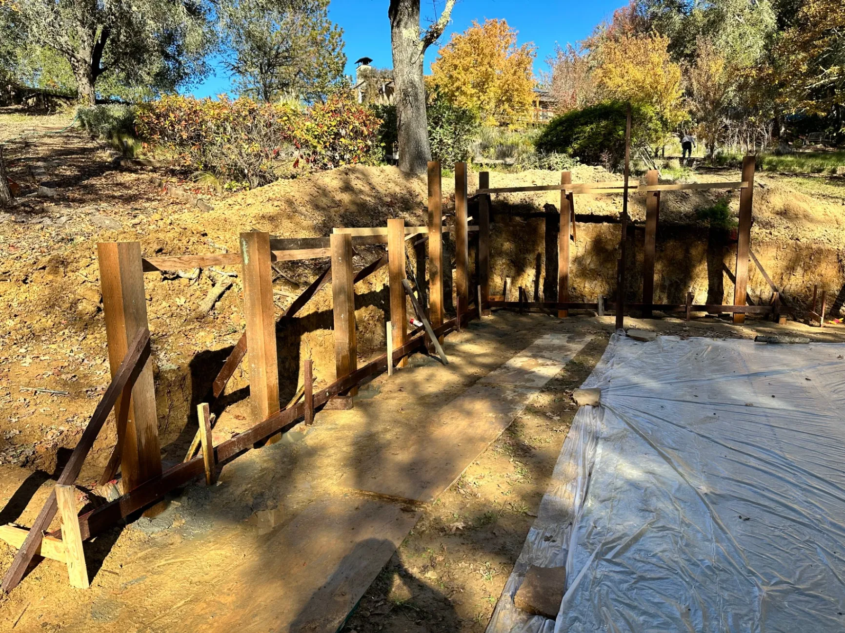gallery-1