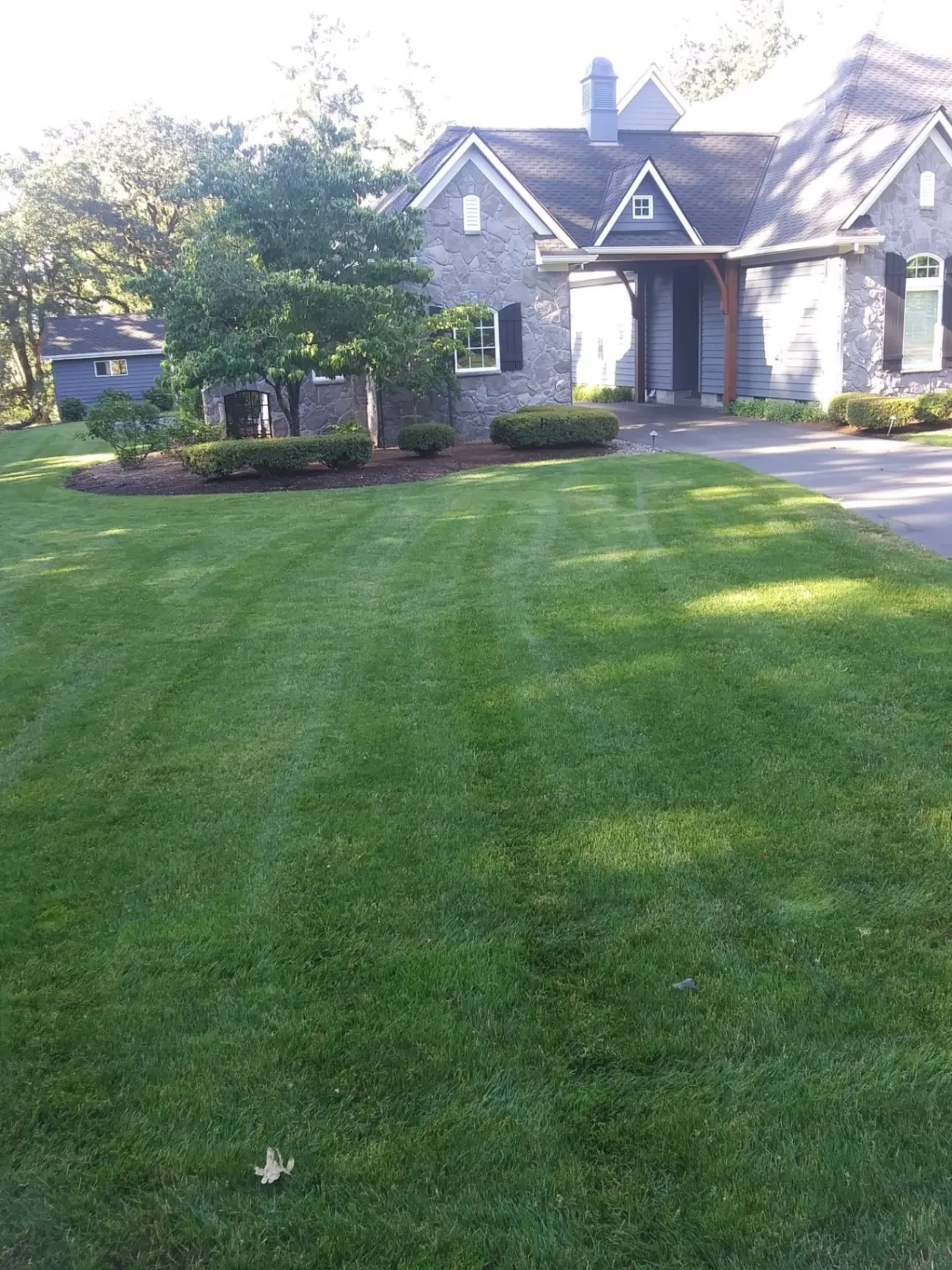 Yard Clean background