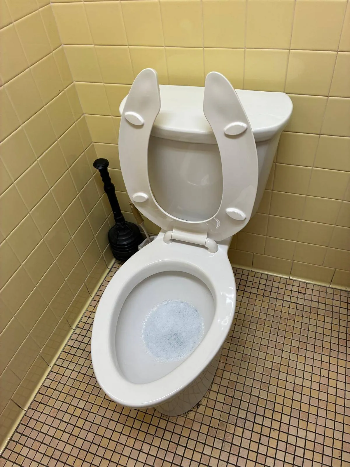 cleaner1